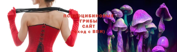 СК Алексин