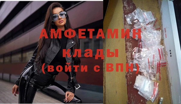 СК Алексин