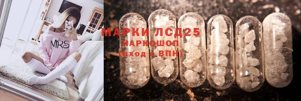 дживик Снежногорск