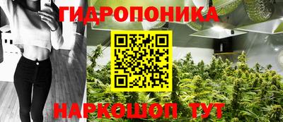a pvp Кунгур